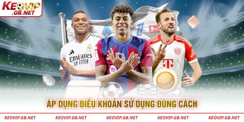 Áp dụng điều khoản sử dụng đúng cách