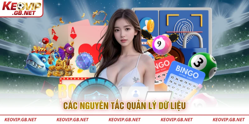 Các nguyên tắc quản lý dữ liệu