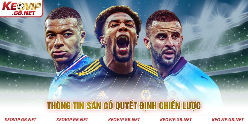 Thông tin sân cỏ quyết định chiến lược