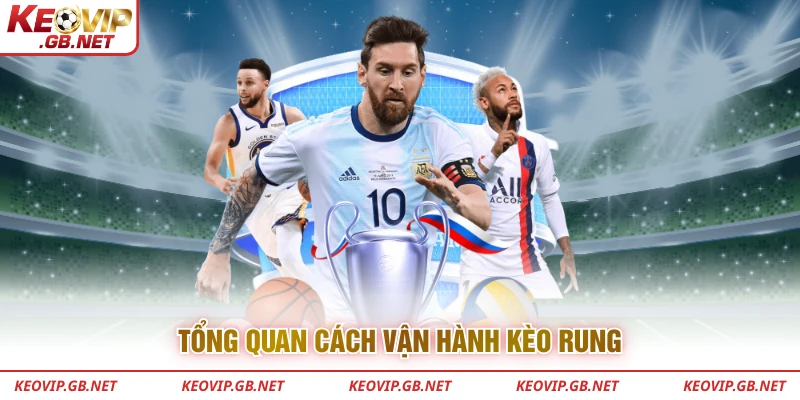 Tổng quan cách vận hành kèo rung