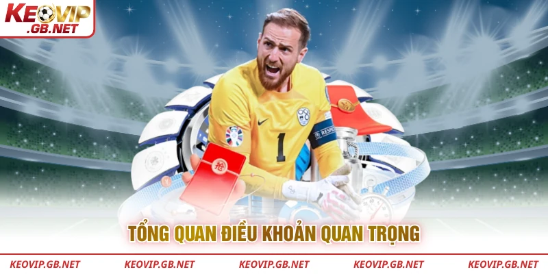 Tổng quan điều khoản quan trọng