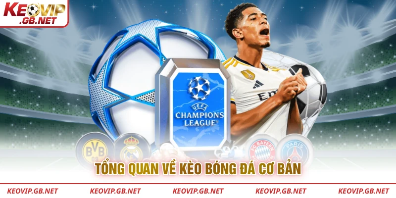 Tổng quan về kèo bóng đá cơ bản