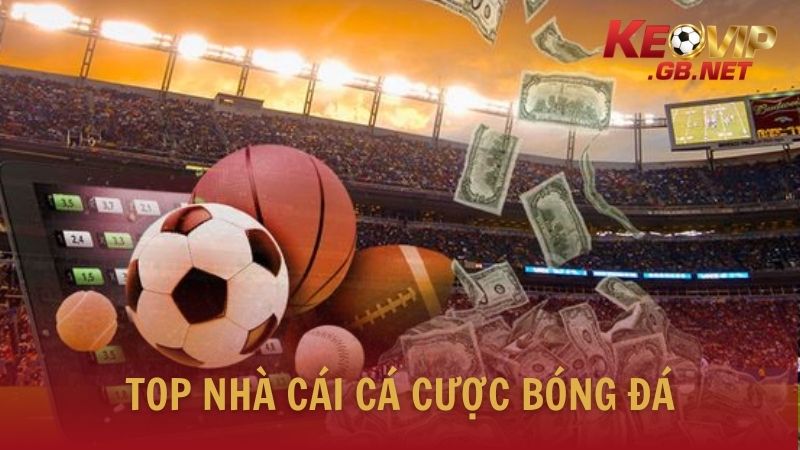 Tổng hợp top nhà cái cá cược hàng đầu năm 2026