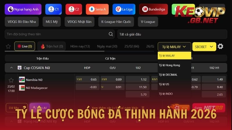 Những dạng tỷ lệ cá cược bóng đá thịnh hành 2026